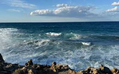 Marathon [109] Jeep Safari - Narodowy Park Akamas z Ayia Napa