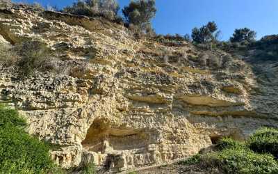 Wycieczka na plażę Skała Afrodyty [35] z Pafos